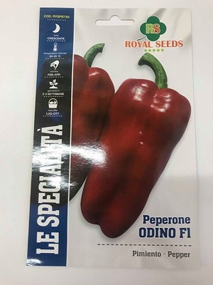 BUSTA MAXI SPEC. PEPERONE ODINO F1 RS