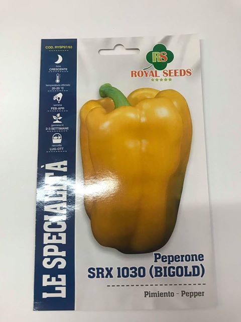 BUSTA MAXI SPEC.PEPERONE SRX 1030 BIGOLD RS