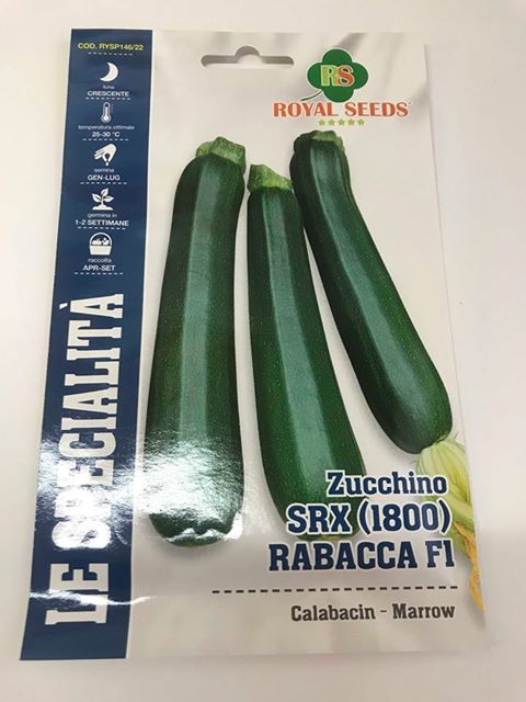 BUSTA MAXI SPEC. ZUCCHINO SRX 1800 RABACCA F1 RS