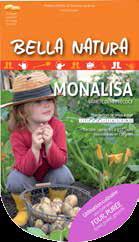 MINI TUBERI PATATA MONALISA PZ.25