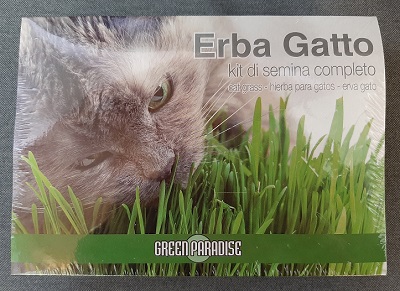 ERBA GATTA IN VASCHETTA PRONTO USO