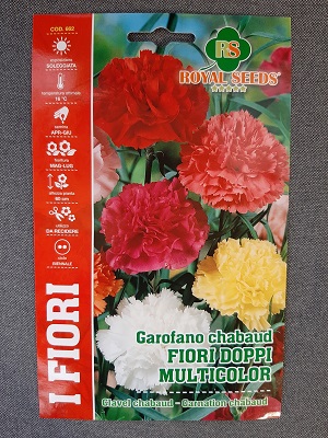 BUSTA FIORI GAROFANO CHABAUD FIORE DOPPIO MULTICOLOR RS
