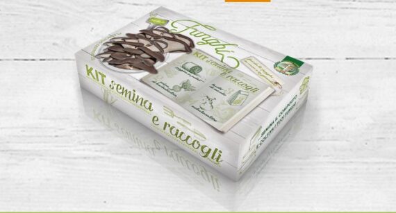 KIT SEMINA E RACCOGLI FUNGO PLEUTOTUS