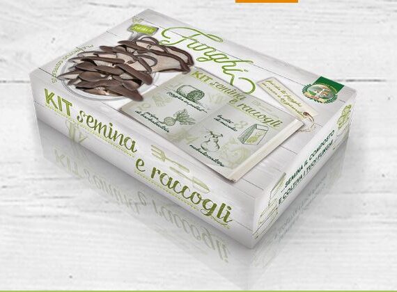 KIT SEMINA E RACCOGLI FUNGO PLEUTOTUS