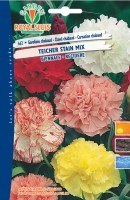 BUSTA FIORI GAROFANO CHABAUD TEICHER STAIN MIX MAXI RS