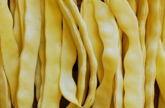 FAGIOLO RAMPICANTE GOLDEN GATE 250 grammi