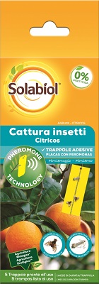 SOLABIOL CATTURA INSETTI AGRUMI