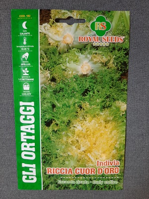 BUSTA ORTO MAXI INDIVIA RICCIA CUOR D'ORO  RS