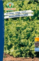 BUSTA ORTO LATTUGA BATAVIA BIONDA DI PARIGI MAXI RS