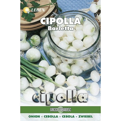 BUSTA ORTO CIPOLLA BARLETTA