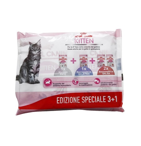 KITTEN (1 patè+1 gelatina+ 2 bocc. in salsa) ROYAL CANIN