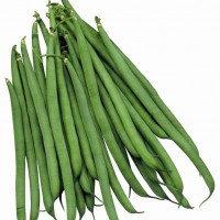 FAGIOLINO NANO FARADAY g 250 ROYAL SEEDS