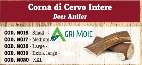 CORNA DI CERVO INTERO XL