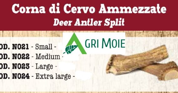 CORNA DI CERVO AMMEZZATO SMALL