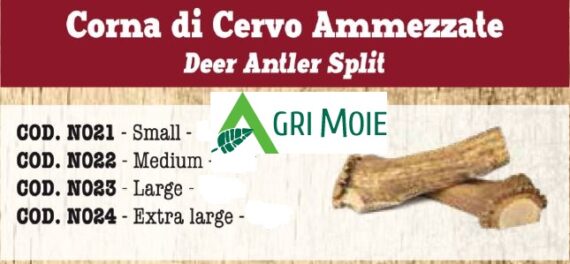 CORNA DI CERVO AMMEZZATO L