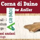 CORNA DI DAINO INTERE L
