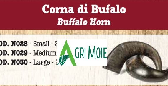 CORNA DI BUFALO MEDIUM