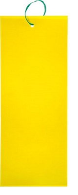 INSECT TRAPPOLA ADESIVA L STOCKER