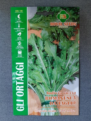 BUSTA ORTO INDIVIA RICCIA ROMANESCA DA TAGLIO RS