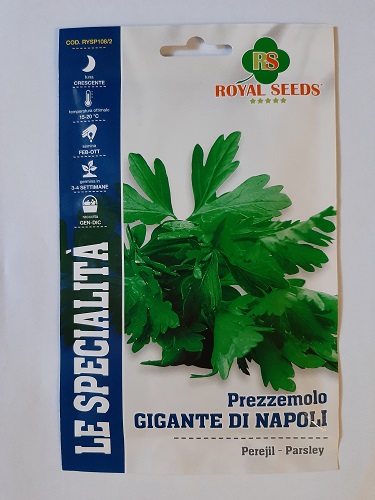 BUSTA MAXI SPEC. PREZZEMOLO GIGANTE DI NAPOLI RS