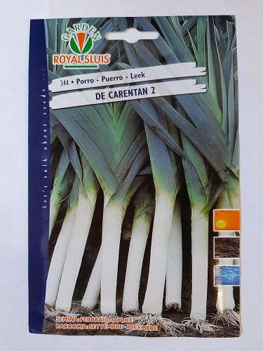 BUSTA ORTO PORRO CARENTAN 2  RS