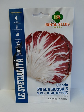 BUSTA MAXI SPEC. CICORIA PALLA ROSSA 2 SEL.ALQUETTE RS