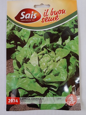 LATTUGA AMERICA 3 SAIS