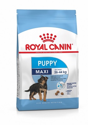 MAXI PUPPY KG.1 ROYAL CANIN
