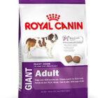 GIANT ADULT KG.15 ROYAL CANIN