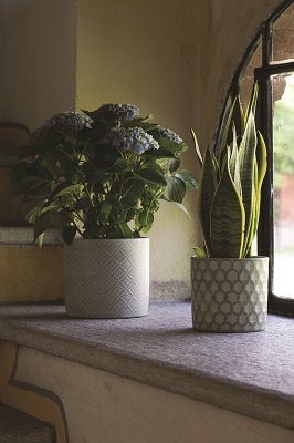 CASPO DECO CILINDRO CM 17 H 15 VERDE CORINO BRUNA