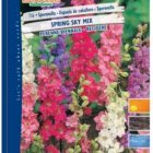 BUSTA FIORI SPERONELLA MIX RS