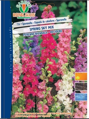 BUSTA FIORI SPERONELLA MIX RS