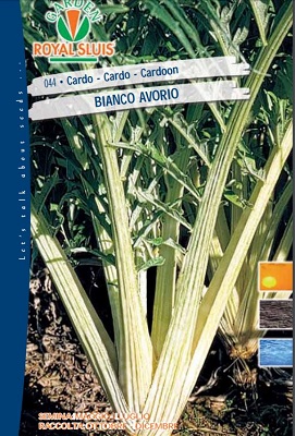 BUSTA ORTO CARDO BIANCO AVORIO ROYAL SLUIS