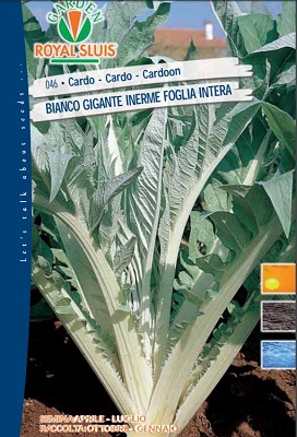 BUSTA ORTO CARDO BIANCO GIGANTE INERME A FOGLIA INTERA ROYAL SLUIS