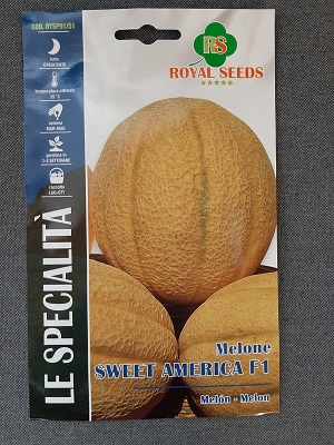 BUSTA MELONE SWEET AMERICA F1 ROYAL SEEDS