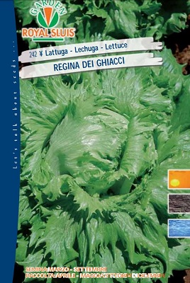 BUSTA ORTO LATTUGA REGINA DEI GHIACCI 50 G ROYAL SEEDS