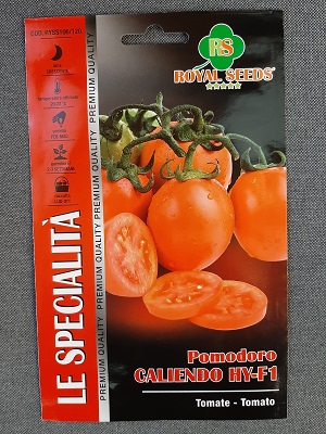 BUSTA POMODORO CALIENDO HY-F1 RYSS