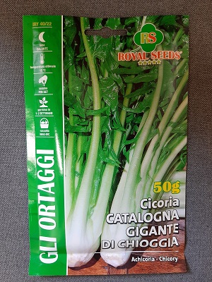 BUSTA CICORIA CATALOGNA GIGANTE DI CHIOGGIA 50 G RS