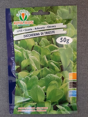 BUSTA CICORIA ZUCCHERINA DI TRIESTE  GR 50 ROYAL SLUIS