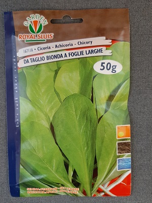 BUSTA CICORIA DA TAGLIO BIONDA A FOGLIE LARGHE 50 GR RS
