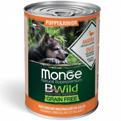 BWILD JUN. AN/ZUCCA/ZUC. GR 400 MONGE