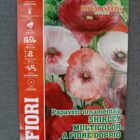BUSTA FIORI PAPAVERO ORNAMENTALE SHIRLEY MULTICOLOR A FIORE DOPPIO RS