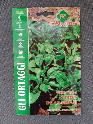 BUSTA ORTO MAXI VALERIANA VERTE DE CAMBRAI