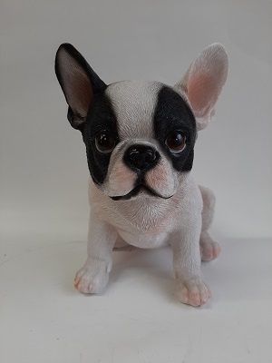 PUPPY BULLDOG FRANCESE FRATELLI MARIOTTI