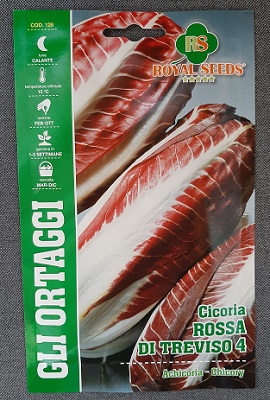 BUSTA ORTO MAXI CICORIA ROSSA DI TREVISO 4  RS