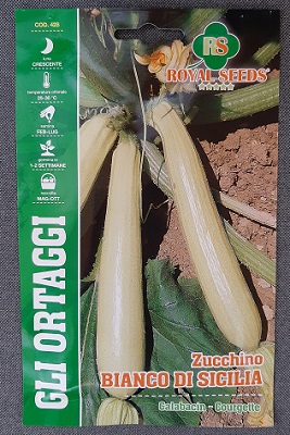 BUSTA ORTO MAXI ZUCCHINO BIANCO DI SICILIA RS