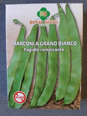 FAGIOLO RAMPICANTE MARCONI A GRANO BIANCO GR 250 RS