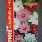 BUSTA FIORI COSMEA GRANDIFLORA MULTICOLOR MAXI