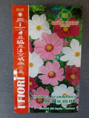 BUSTA FIORI COSMEA GRANDIFLORA MULTICOLOR MAXI