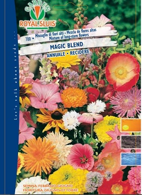 BUSTA FIORI MISCUGLIO DI FIORI ALTI MAGIC BLEND